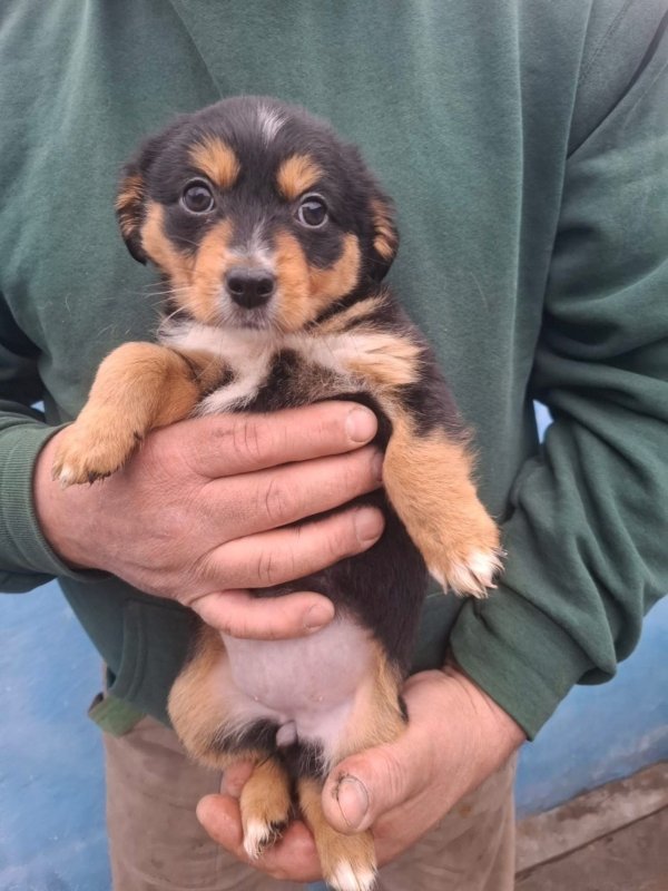 WhatsApp Image 2025 12 22 at 13.43.49 (3)