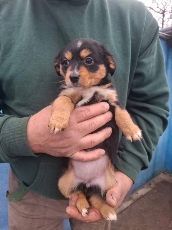 WhatsApp Image 2025 12 22 at 13.43.49 (4)