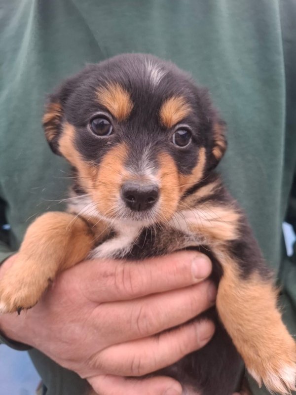 WhatsApp Image 2025 12 22 at 13.43.49 (5)