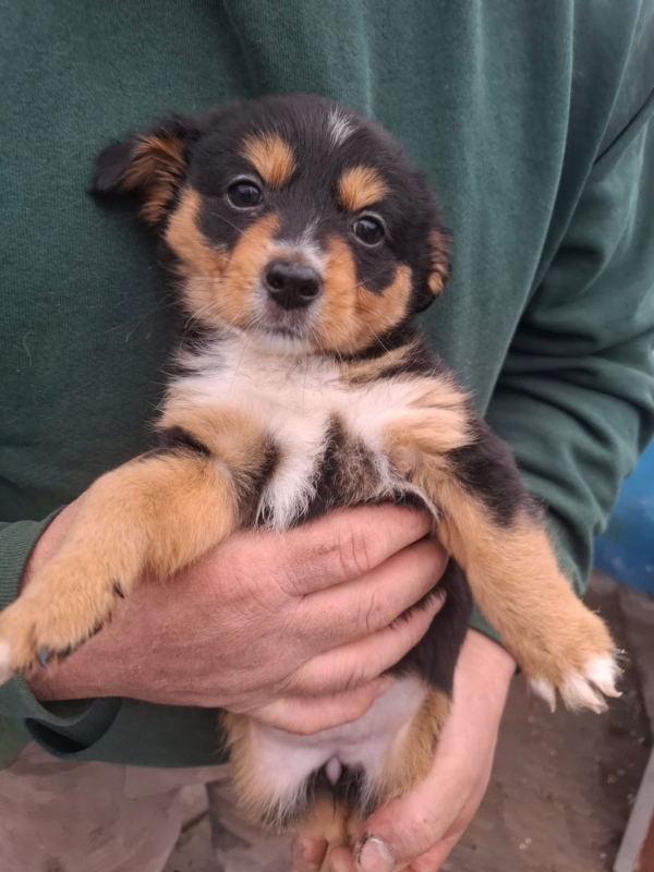 WhatsApp Image 2025 12 22 at 13.43.49 (6)