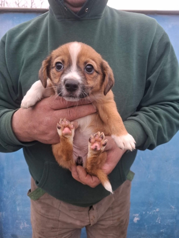 WhatsApp Image 2025 12 22 at 13.43.49