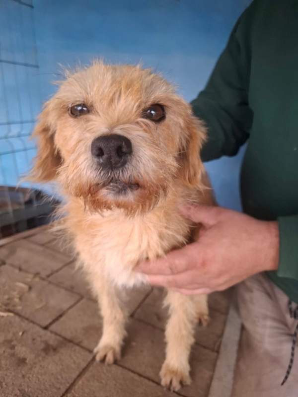 WhatsApp Image 2025 12 23 at 20.22.32