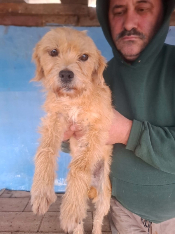 WhatsApp Image 2025 12 23 at 20.22.33 (1)