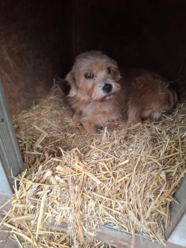 WhatsApp Image 2025 12 23 at 20.22.33 (2)