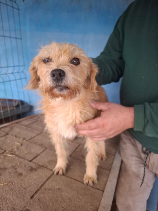 WhatsApp Image 2025 12 23 at 20.22.33 (3)