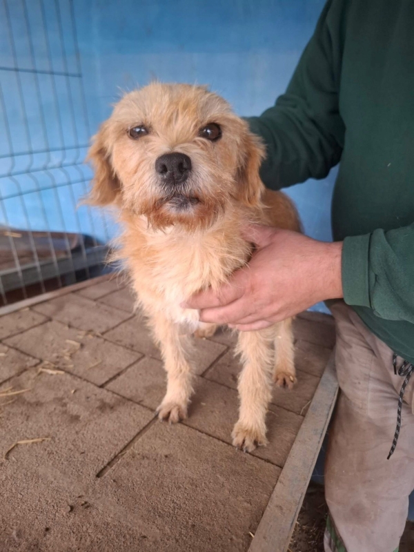 WhatsApp Image 2025 12 23 at 20.22.33 (4)