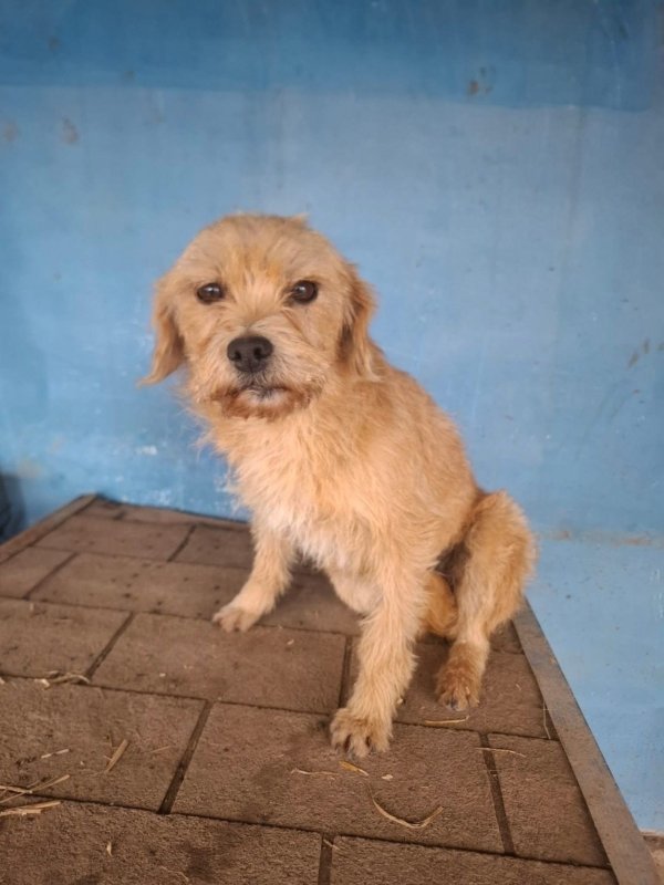 WhatsApp Image 2025 12 23 at 20.22.33 (5)