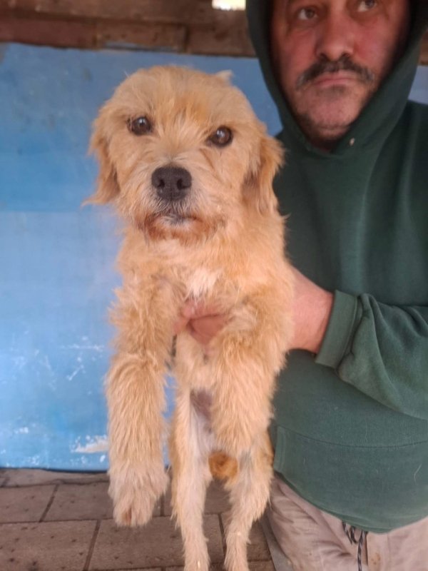 WhatsApp Image 2025 12 23 at 20.22.33 (6)