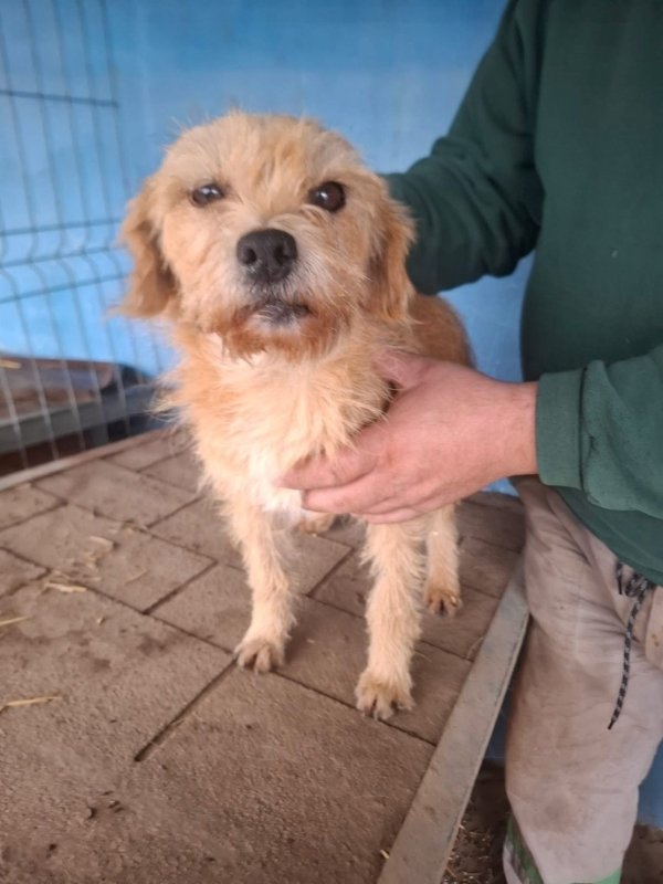 WhatsApp Image 2025 12 23 at 20.22.33