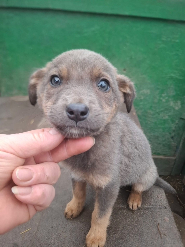 WhatsApp Image 2025 12 27 at 20.41.28