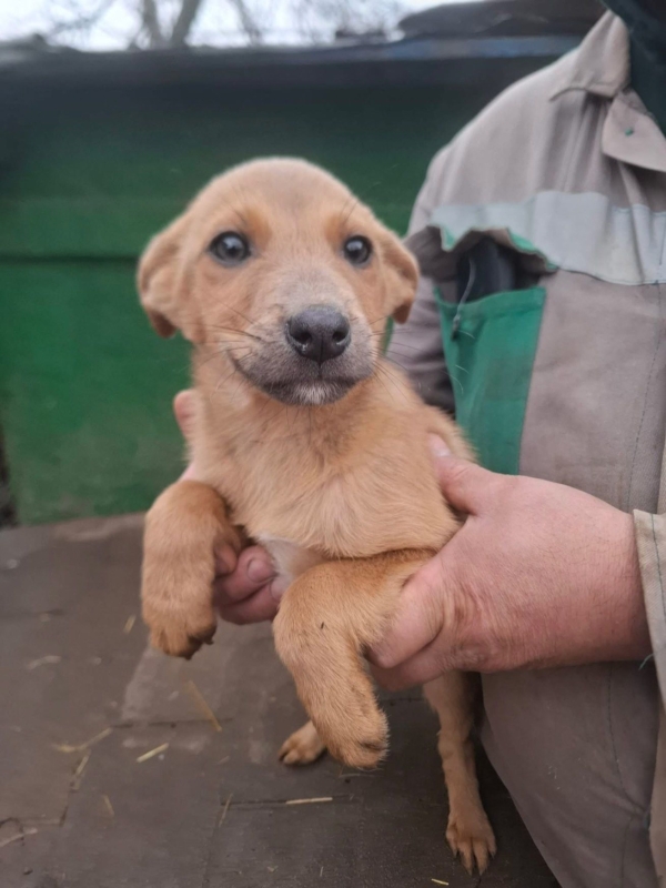 WhatsApp Image 2025 12 27 at 20.41.29 (1)