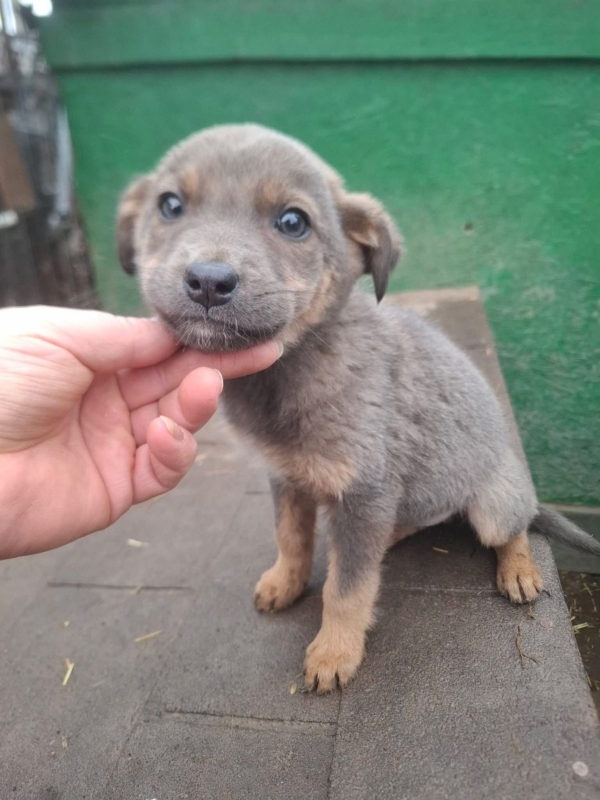 WhatsApp Image 2025 12 27 at 20.41.29 (1)