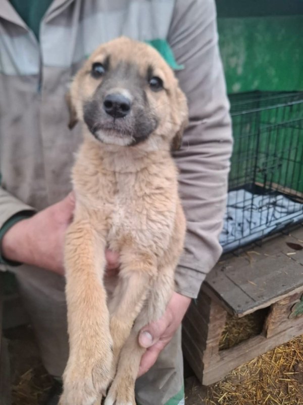 WhatsApp Image 2025 12 27 at 20.41.29 (1)