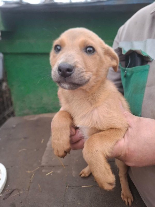 WhatsApp Image 2025 12 27 at 20.41.29 (2)