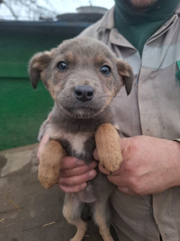 WhatsApp Image 2025 12 27 at 20.41.29 (2)