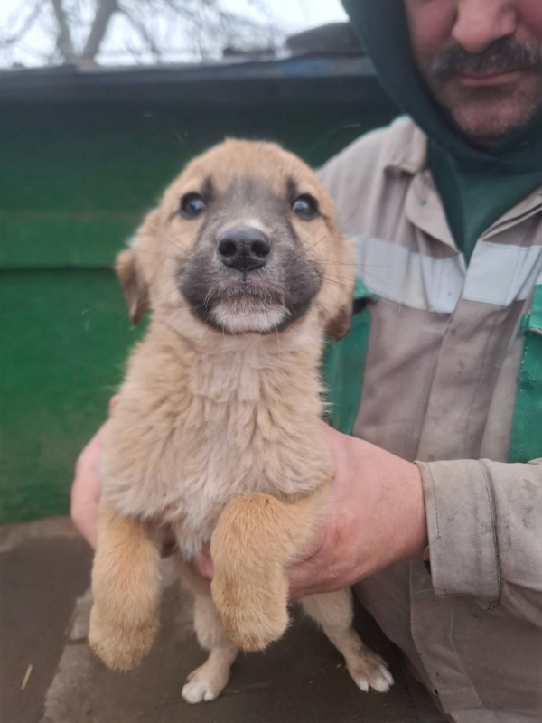 WhatsApp Image 2025 12 27 at 20.41.29 (2)