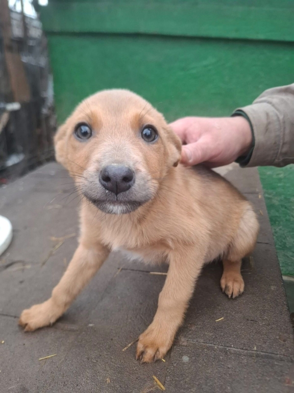 WhatsApp Image 2025 12 27 at 20.41.29 (3)