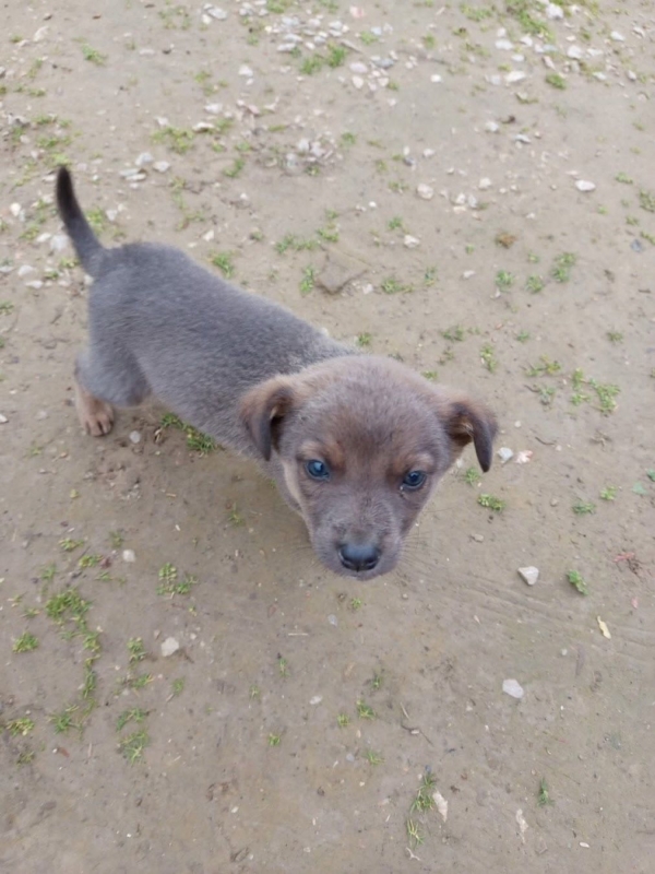 WhatsApp Image 2025 12 27 at 20.41.29 (3)