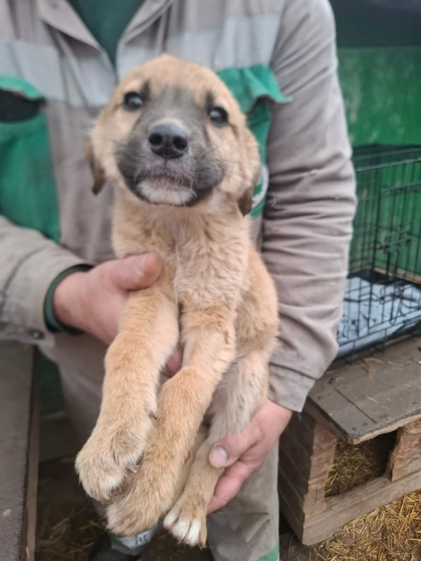 WhatsApp Image 2025 12 27 at 20.41.29 (3)