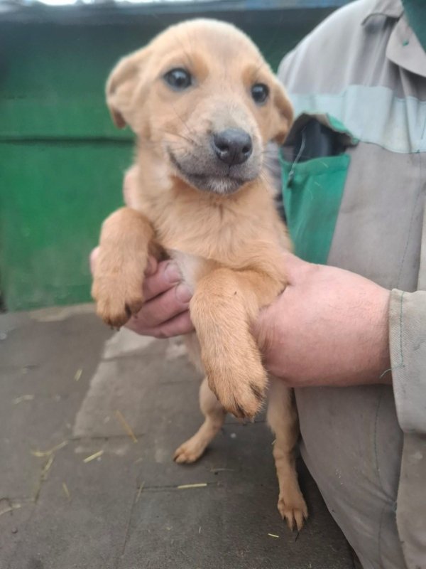 WhatsApp Image 2025 12 27 at 20.41.29 (4)