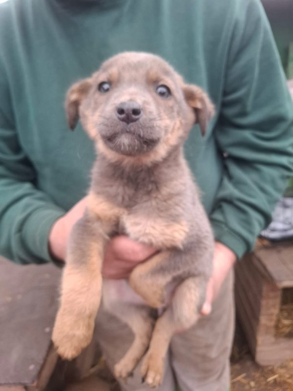 WhatsApp Image 2025 12 27 at 20.41.29 (4)