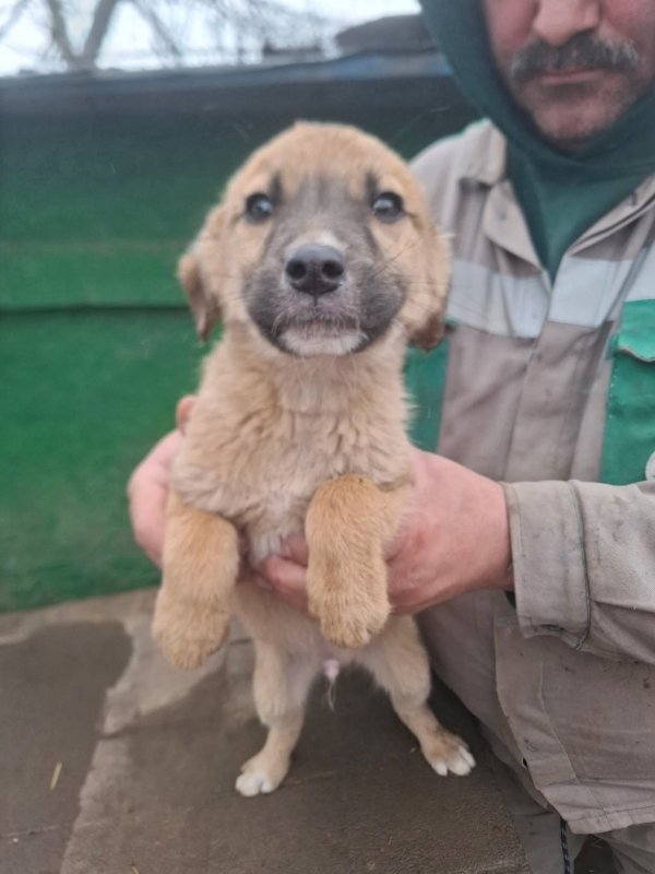 WhatsApp Image 2025 12 27 at 20.41.29 (4)