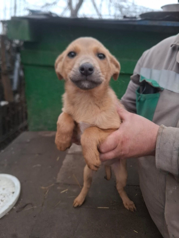 WhatsApp Image 2025 12 27 at 20.41.29 (5)