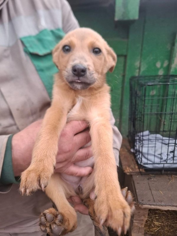 WhatsApp Image 2025 12 27 at 20.41.29