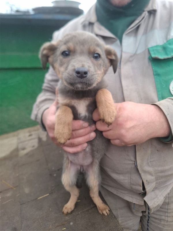 WhatsApp Image 2025 12 27 at 20.41.29