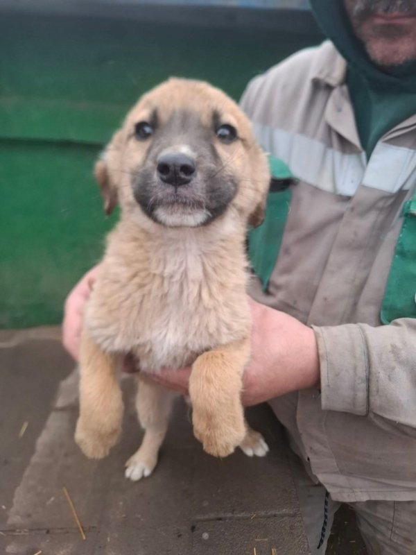 WhatsApp Image 2025 12 27 at 20.41.29