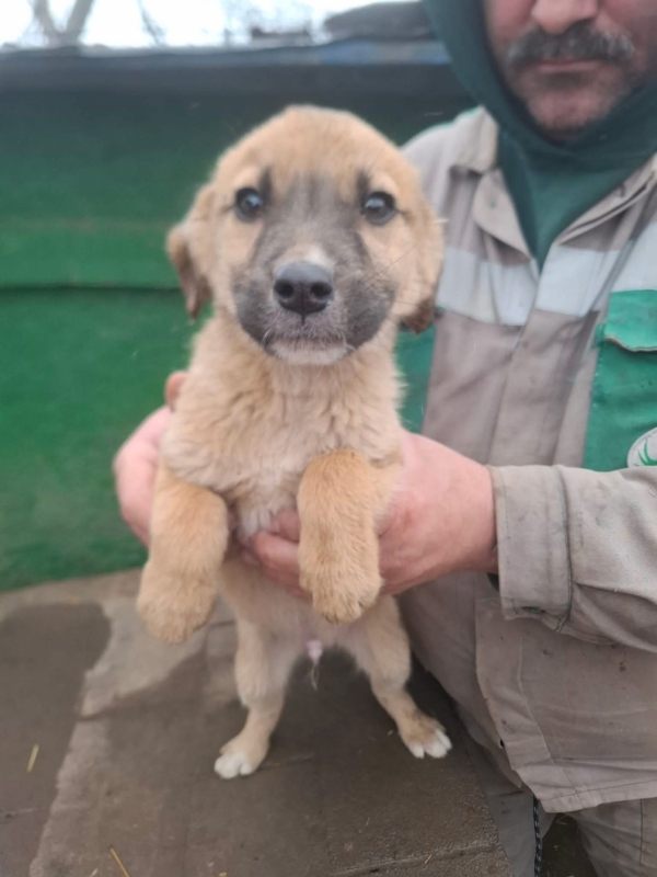 WhatsApp Image 2025 12 27 at 20.41.30