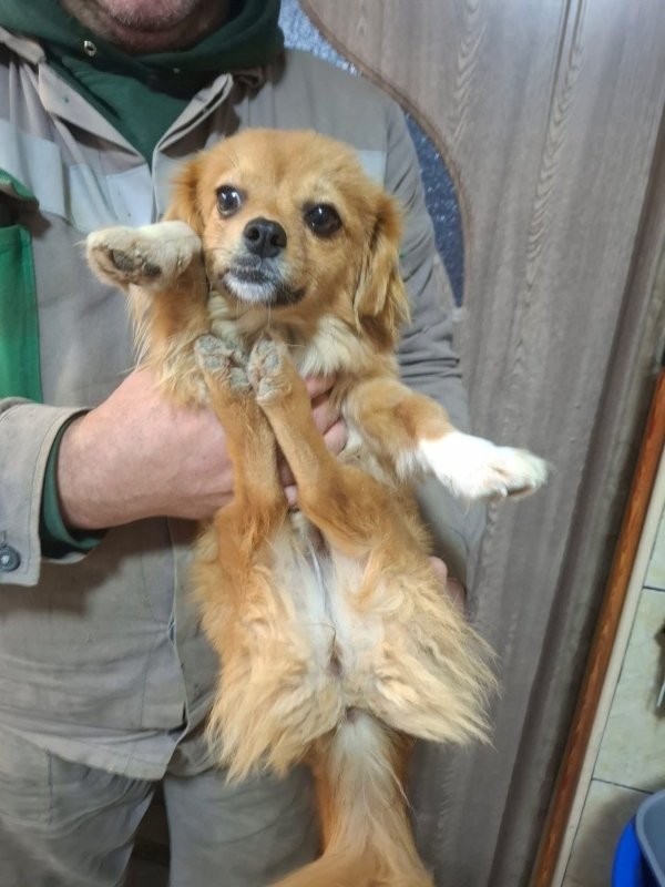 WhatsApp Image 2025 12 31 at 10.39.34