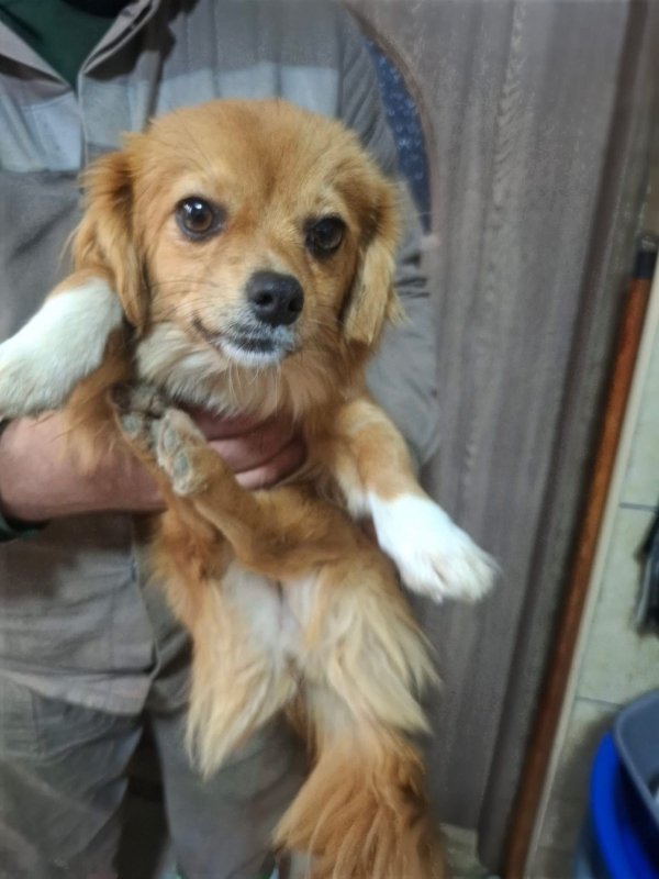 WhatsApp Image 2025 12 31 at 10.39.36 (1)