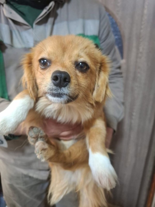 WhatsApp Image 2025 12 31 at 10.39.36 (2)