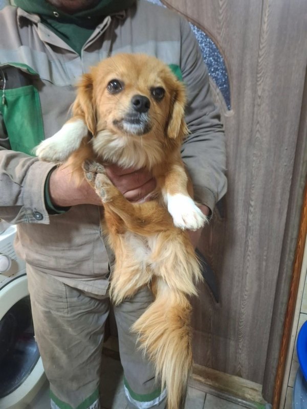 WhatsApp Image 2025 12 31 at 10.39.36