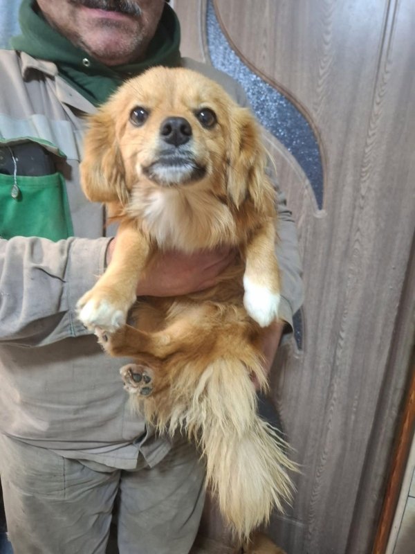 WhatsApp Image 2025 12 31 at 10.39.37 (1)