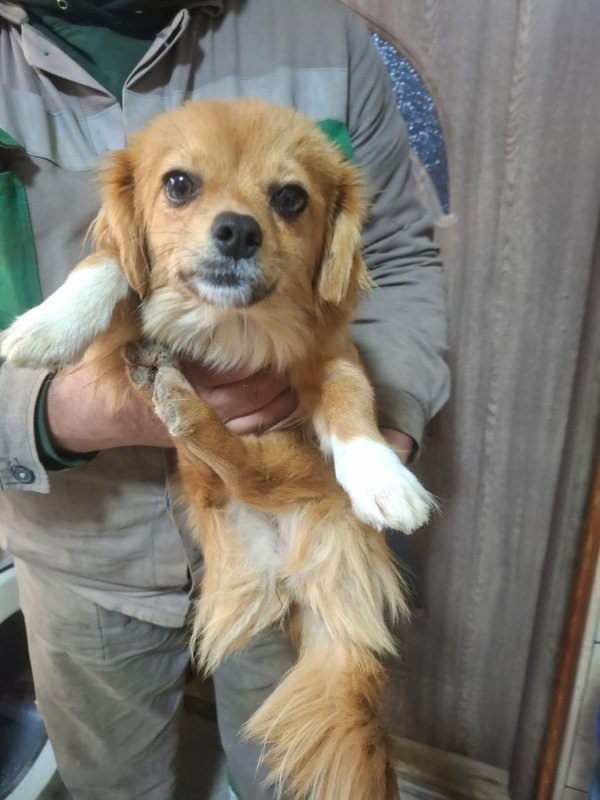 WhatsApp Image 2025 12 31 at 10.39.37 (1)