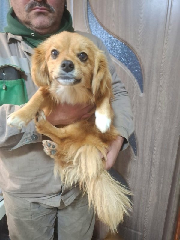 WhatsApp Image 2025 12 31 at 10.39.37 (2)