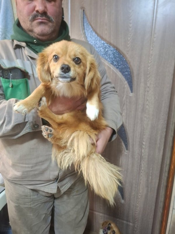 WhatsApp Image 2025 12 31 at 10.39.37 (3)