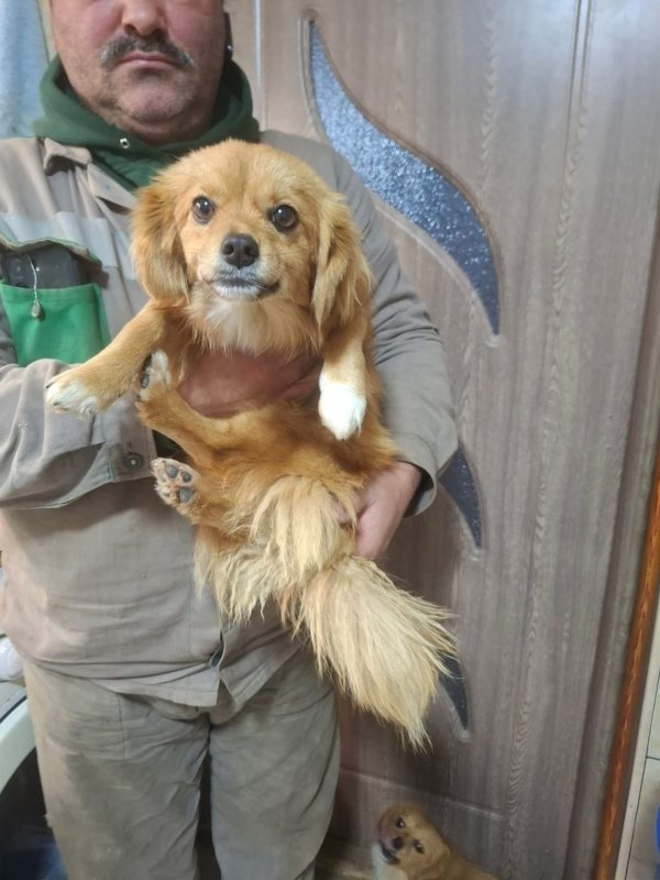 WhatsApp Image 2025 12 31 at 10.39.37 (4)