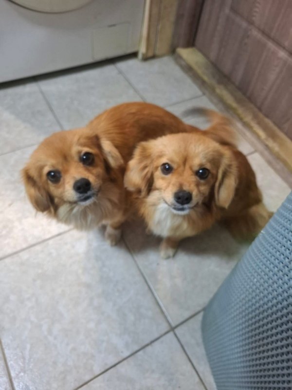 WhatsApp Image 2025 12 31 at 10.39.37