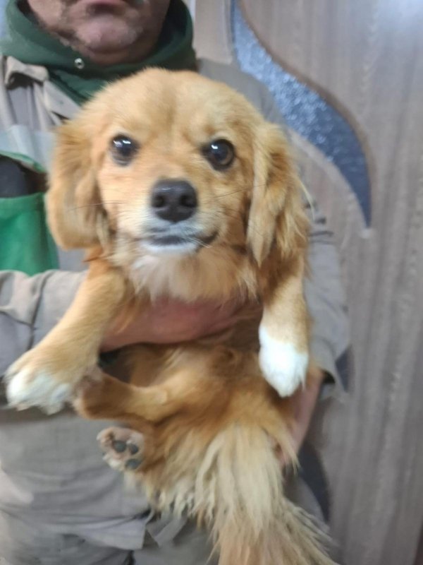 WhatsApp Image 2025 12 31 at 10.39.38