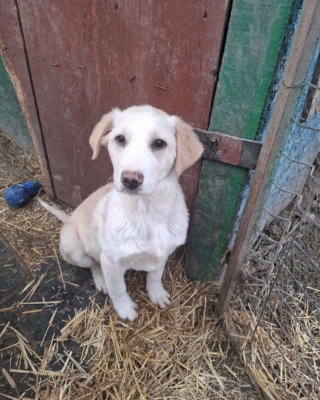 WhatsApp Image 2026 02 04 at 07.21.10