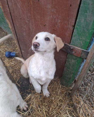 WhatsApp Image 2026 02 04 at 07.21.11 (1)