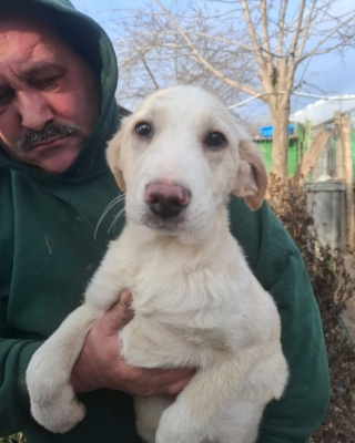 WhatsApp Image 2026 02 04 at 07.21.11 (3)