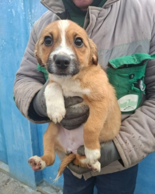 WhatsApp Image 2026 02 04 at 07.21.48 (2)