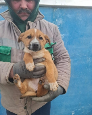 WhatsApp Image 2026 02 04 at 07.21.48 (2)