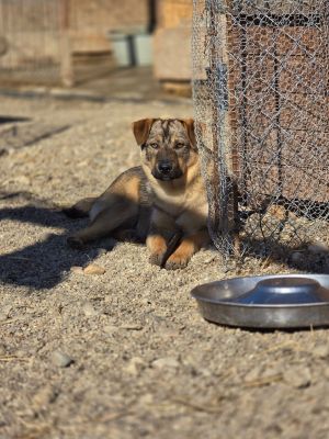 WhatsApp Image 2026 04 06 at 09.03.20