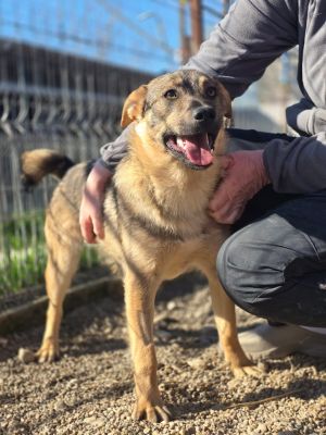 WhatsApp Image 2026 04 06 at 09.03.21 (3)