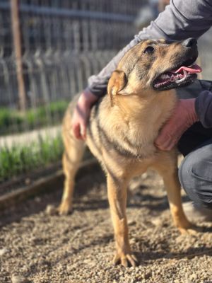 WhatsApp Image 2026 04 06 at 09.03.22 (1)